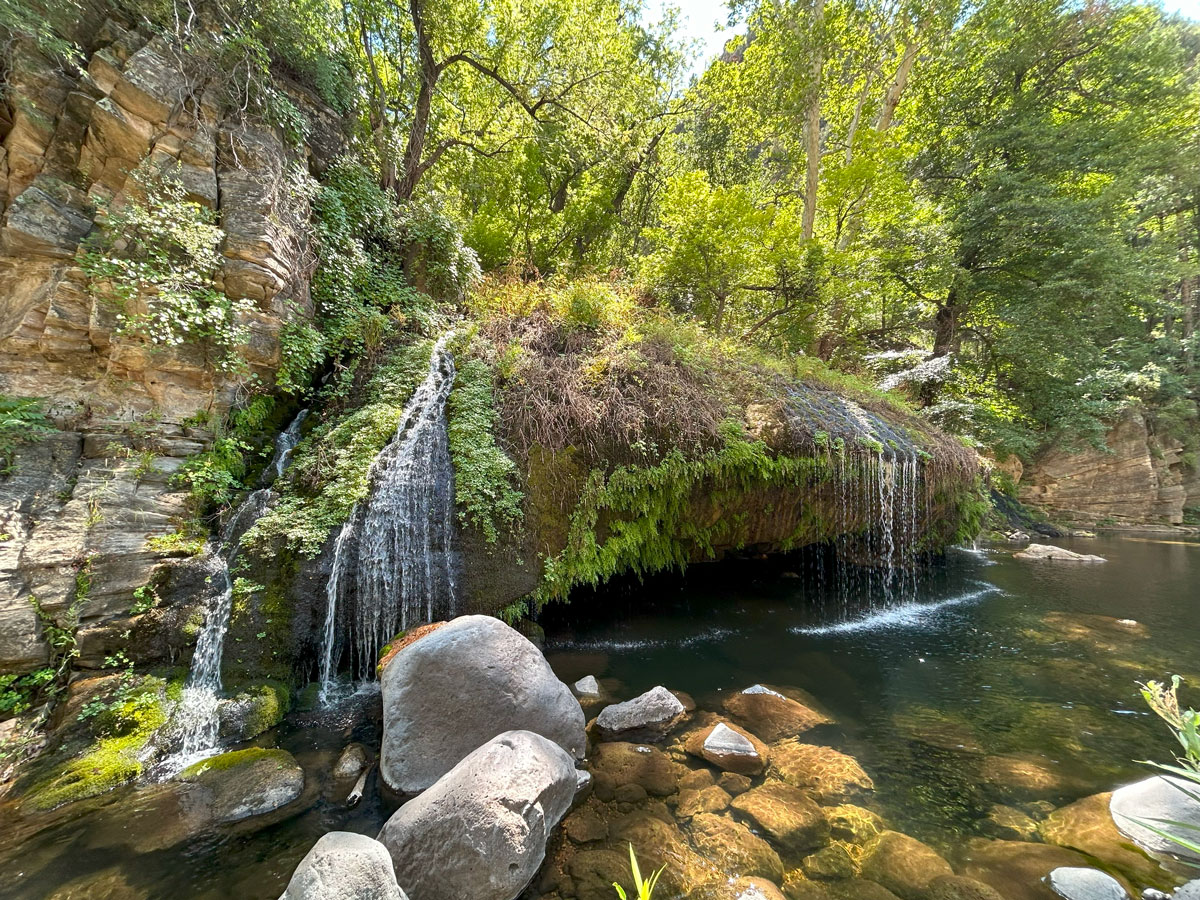 Hanging Garden at West Clear Creek