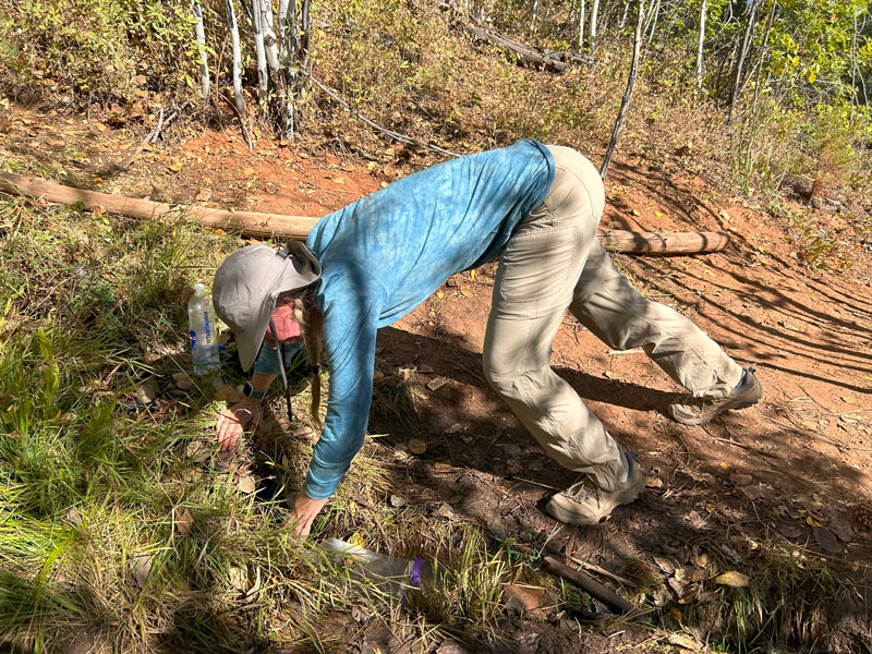 Collecting water from Cabin Spring