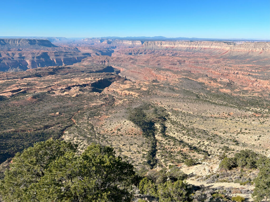 A view of the Grand Canyon from Bill Hall Trail