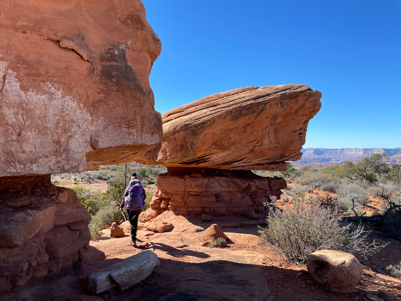 Hiking on the esplanade in the Grand Canyon