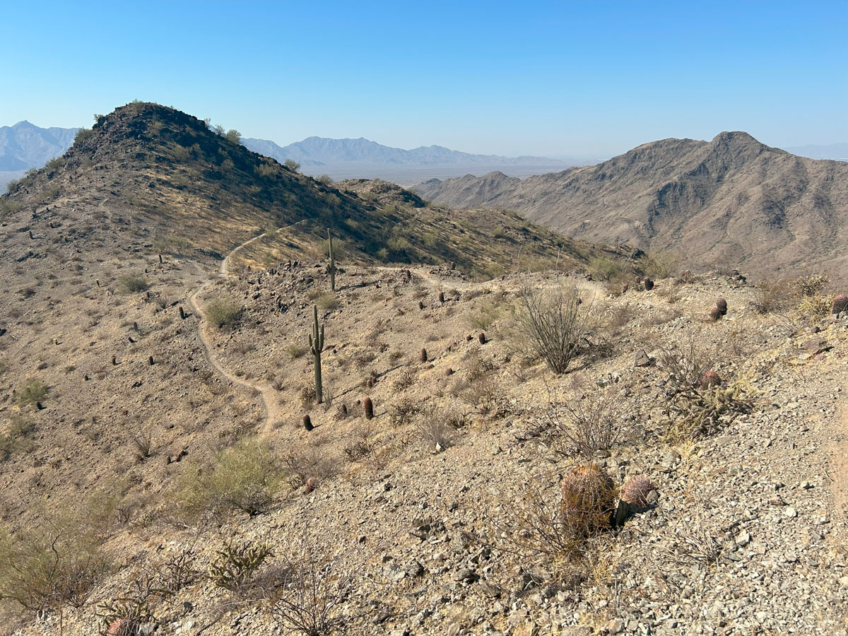 Ma Ha Tuak and Gila Ridgelines Loop