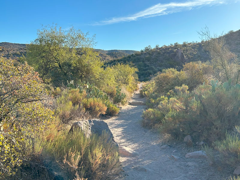 Dutchman Trail in the Superstition Wilderness