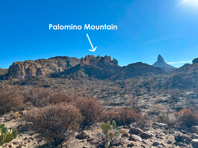 Palomino Mountain and Weavers Needle