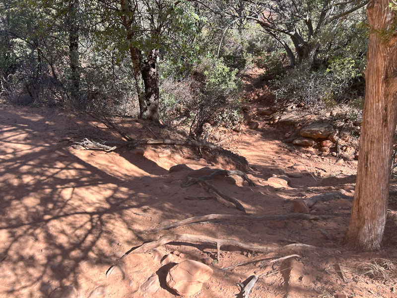 The turn off for Fay Canyon Arch Trail