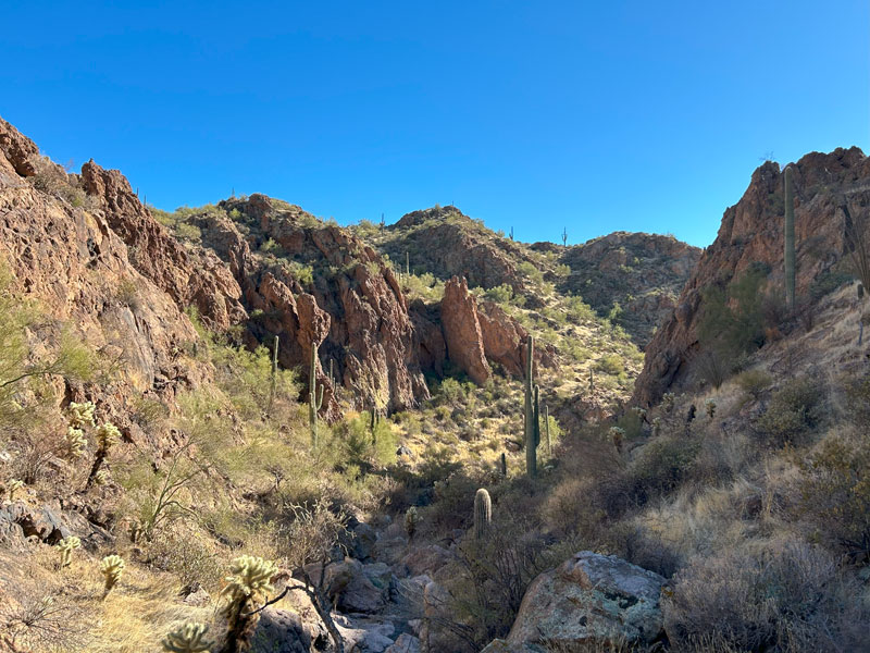 Drainage near Pedestal Arch in the Goldfield Mountains