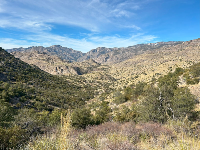 View from Shreve Saddle on the Sycamore Reservoir Trail in the Santa Catalina Mountains in Arizona