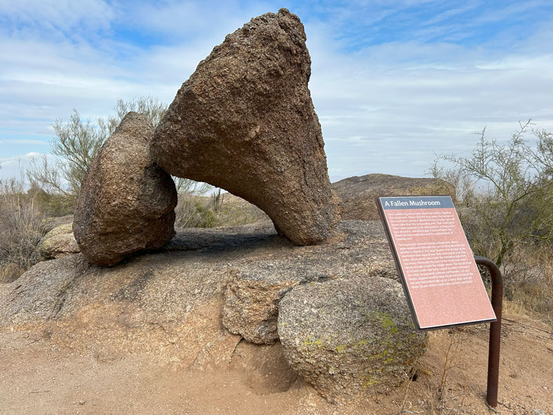 Fallen mushroom formation on the Marcus Landslide Trail