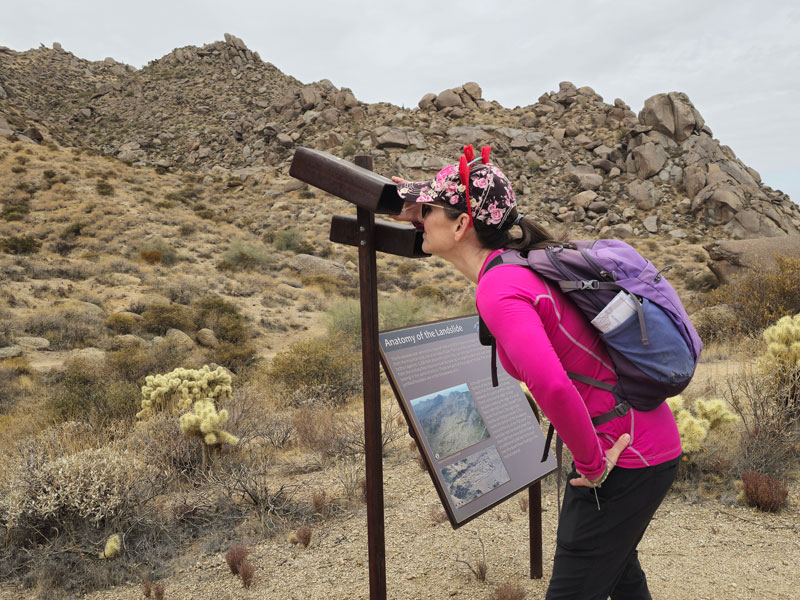 Viewing the Marcus Landslide in McDowell Sonoran Preserve