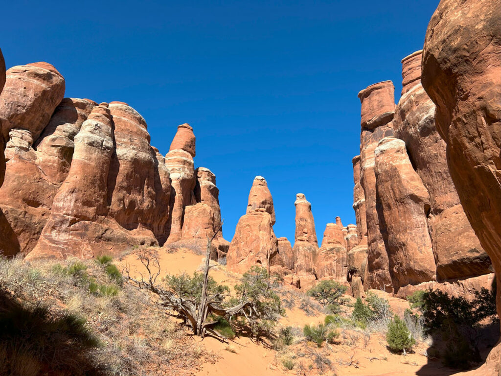 Fiery Furnace in Arches National Park