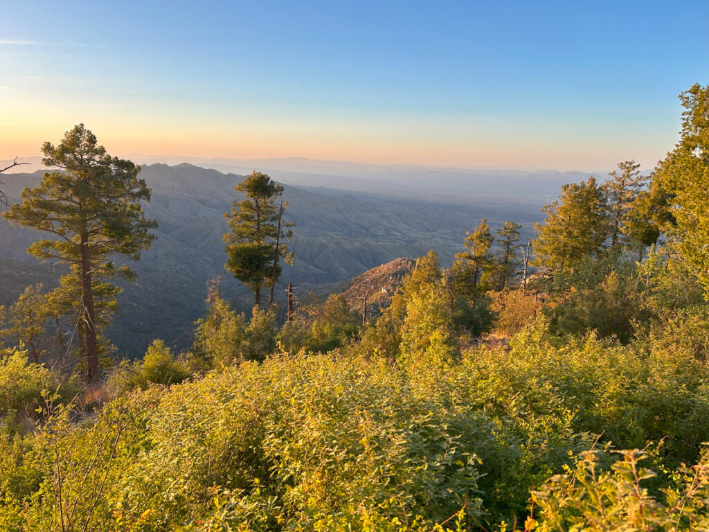 Mount Bigelow and Butterfly Loop on Mount Lemmon