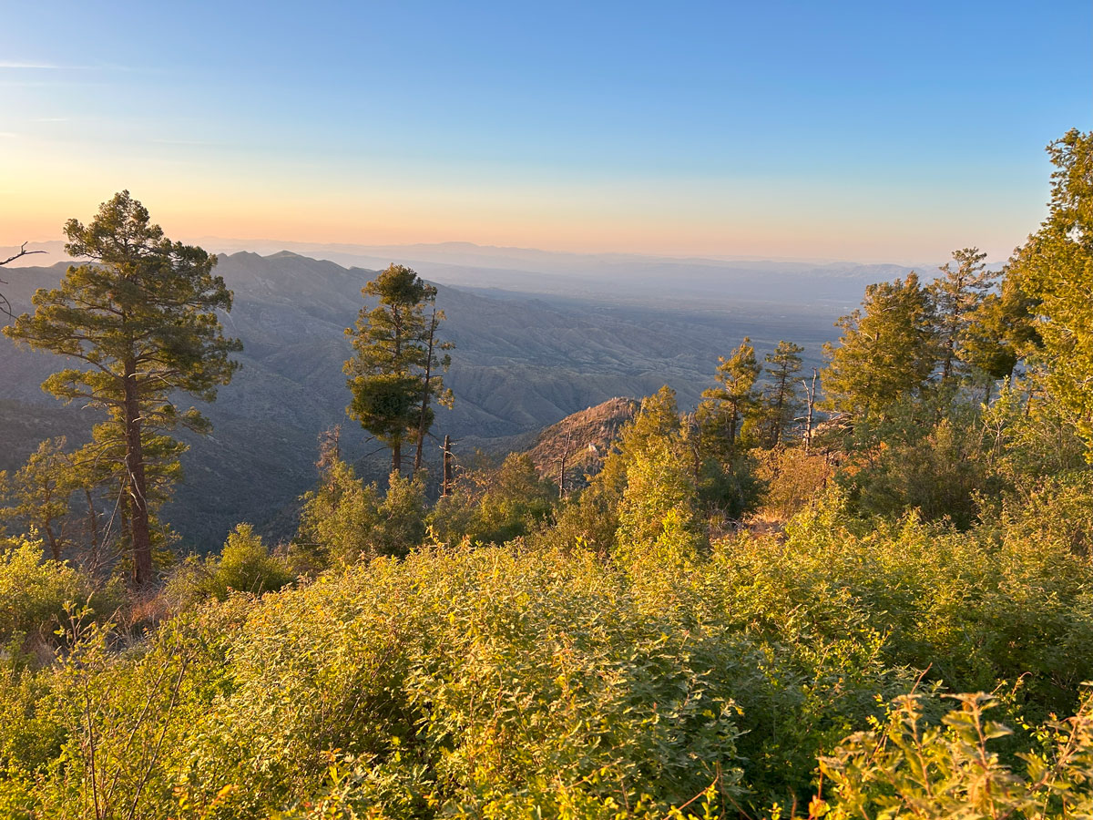 Mount Bigelow Butterfly Loop