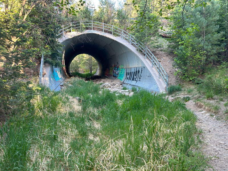 Tunnel going under the Catalina Highway