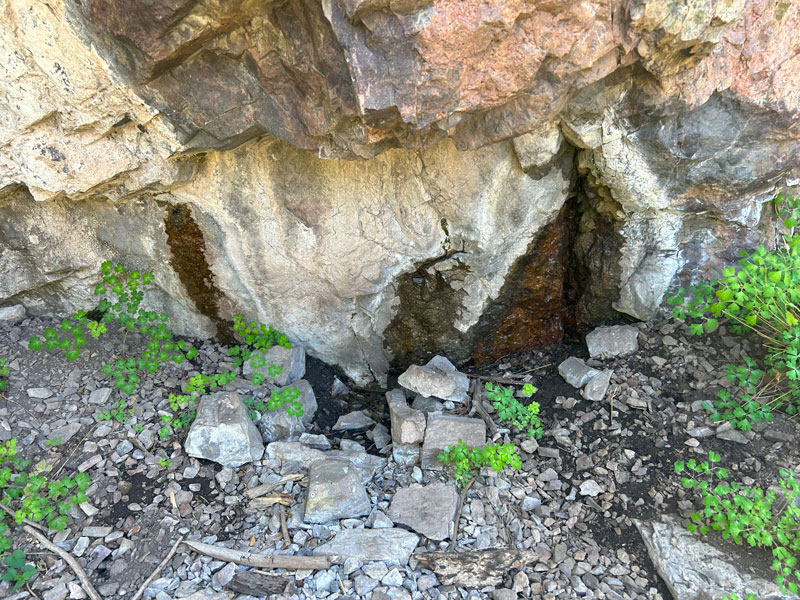 Armour Spring in the Santa Rita Mountains