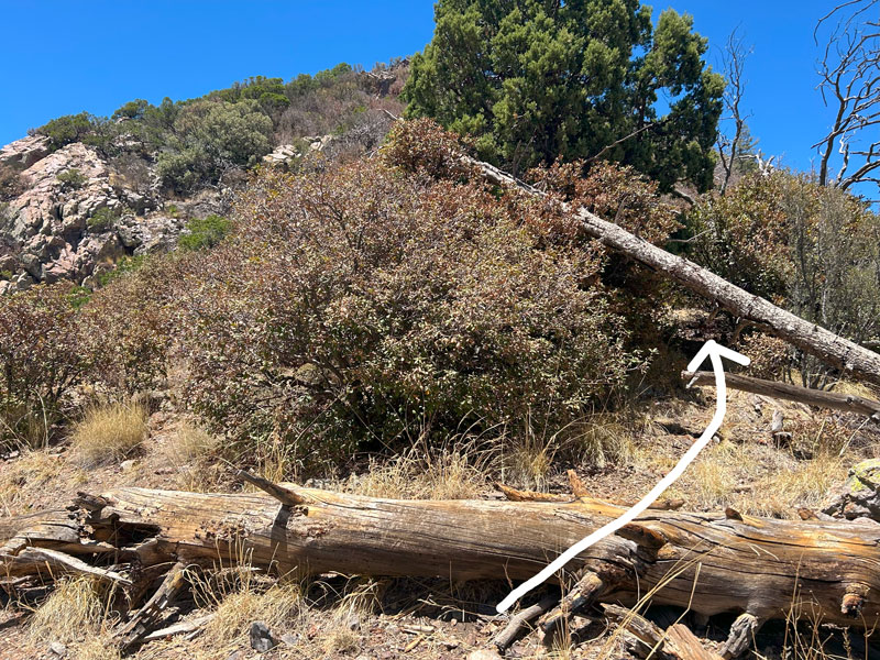 Final summit push to McCleary Peak