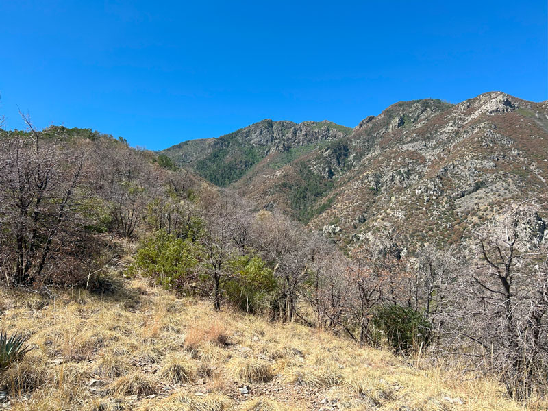 View of McCleary Peak from the Florida Canyon Trail