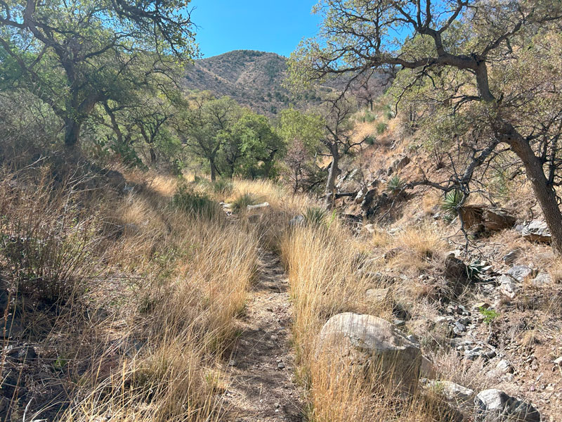 Beginning of Florida Canyon Trail