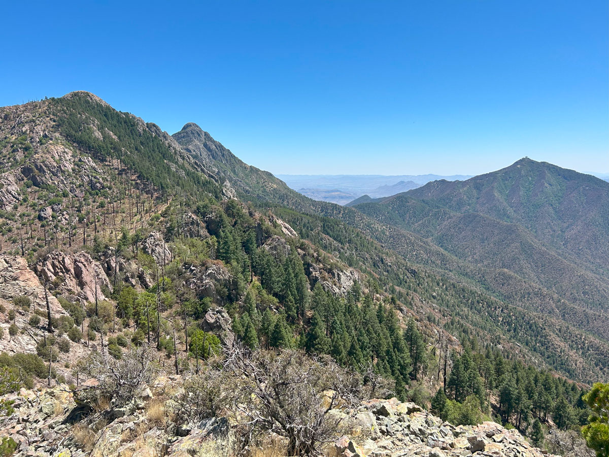 McCleary Peak