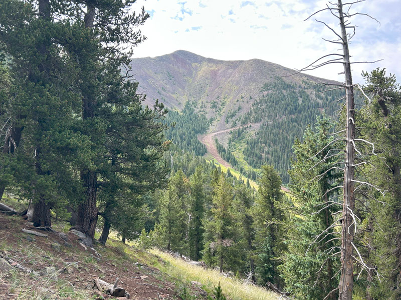 View of Agassiz Peak from Humphreys Peak Trail