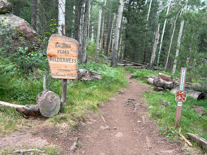 Beginning of Kachina Trail
