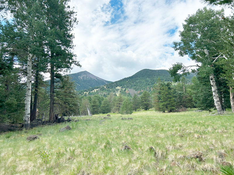 View of San Francisco Peaks from Kachina Trail