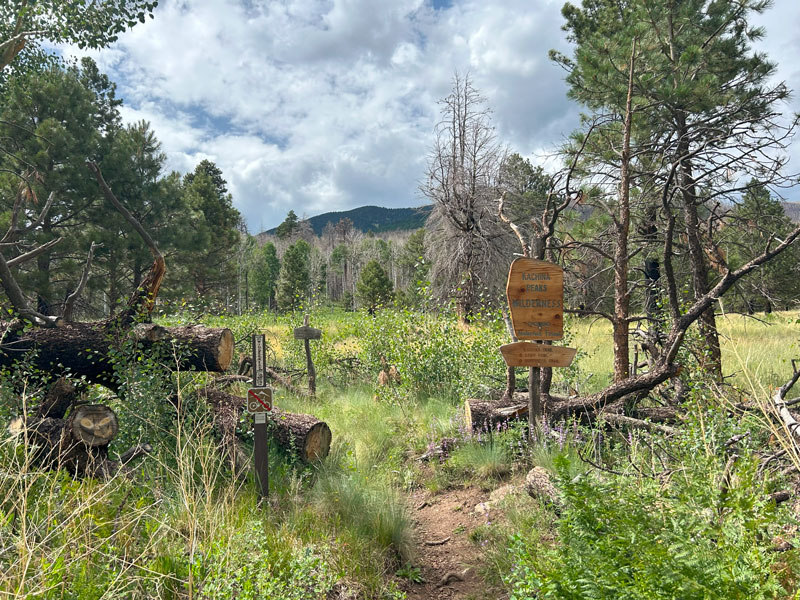 Junction with Weatherford Trail and Kachina Trail