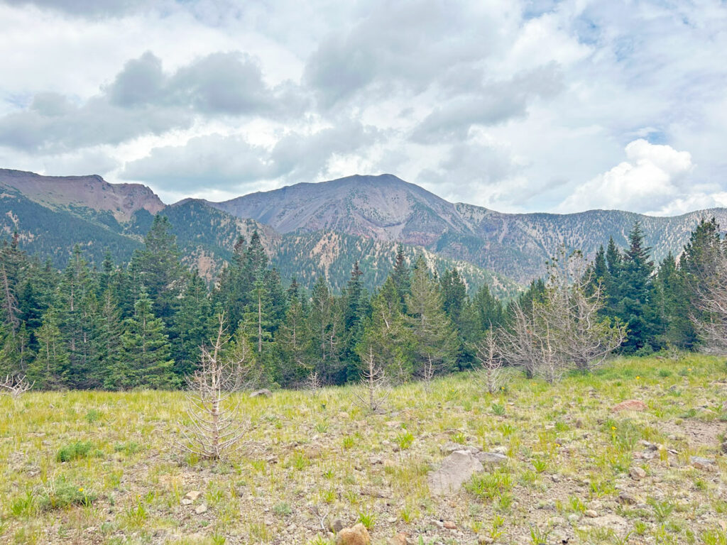 View of Humphreys Peak from Fremont Saddle