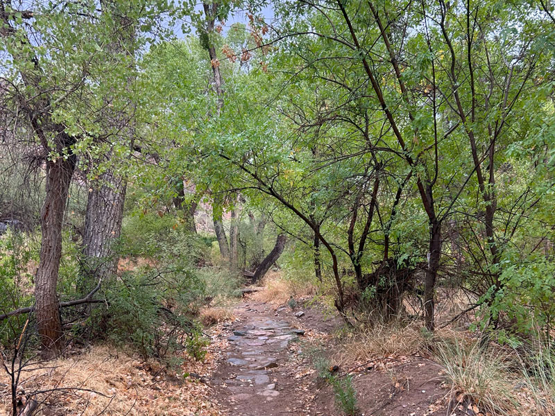 Arnett Canyon on the Picketpost Loop