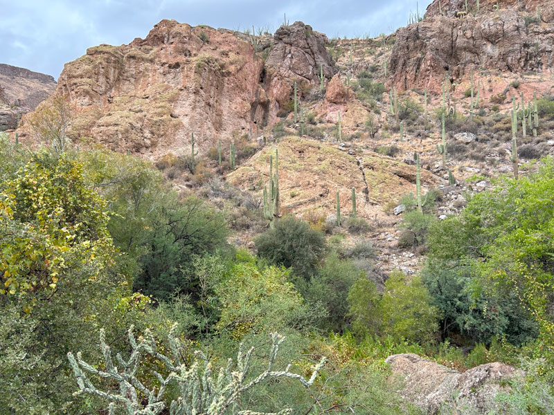 Beautiful desert scene in Telegraph Canyon