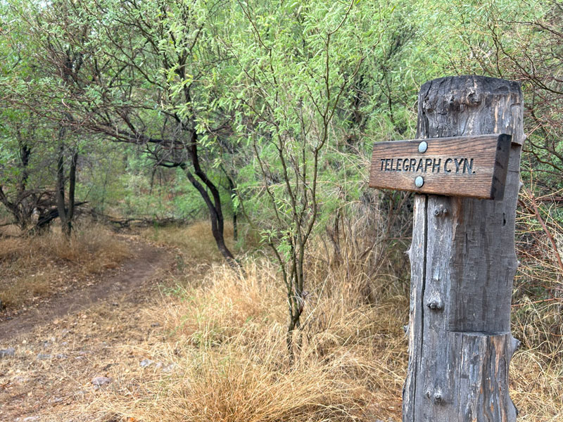 Signed junction for Telegraph Canyon