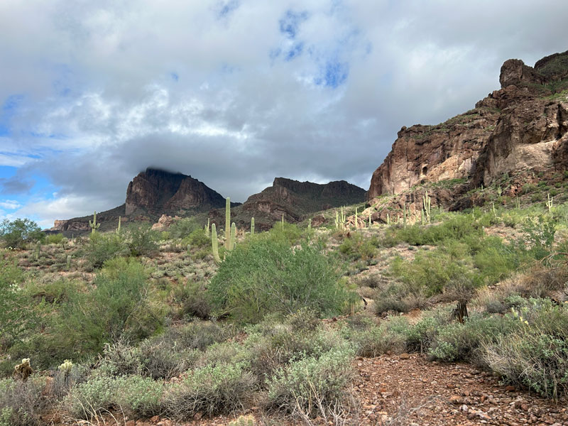 Hiking along the Lost Goldmine Trail