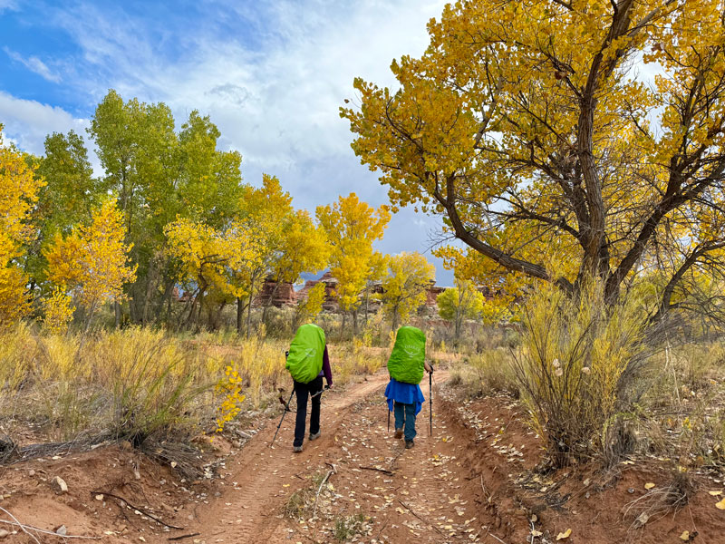 Salt Creek Road in Canyonlands National Park