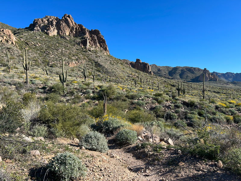 View from the Dutchman's Trail