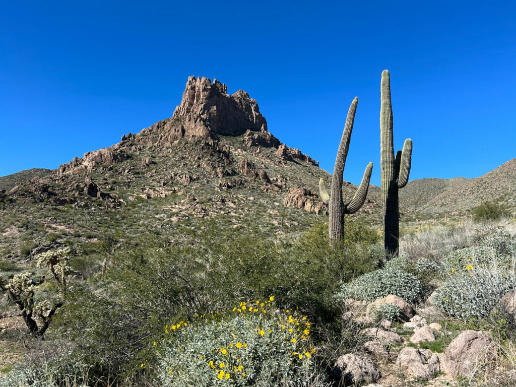 Miner's Needle in the Superstition Wilderness