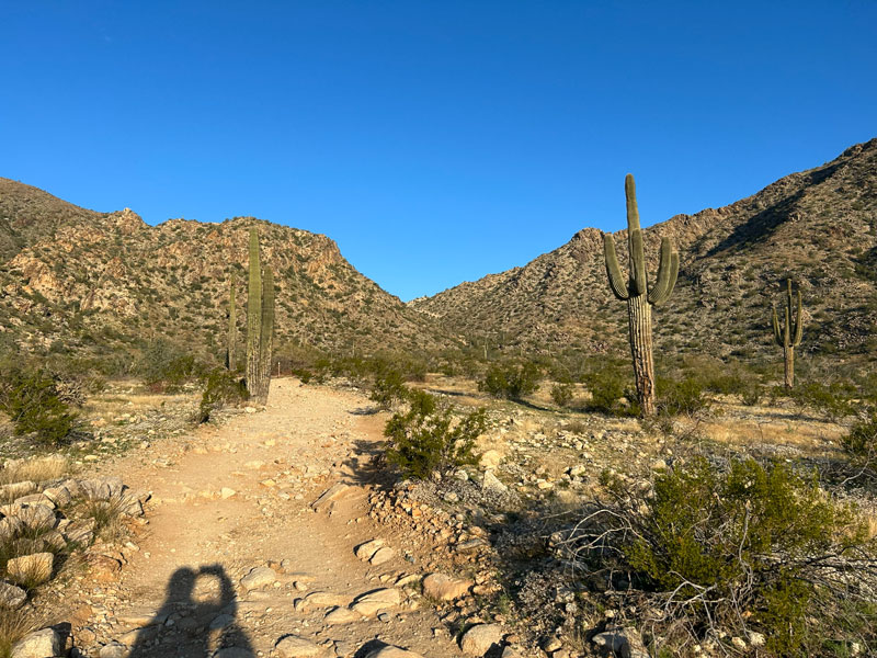 View up Telegraph Pass