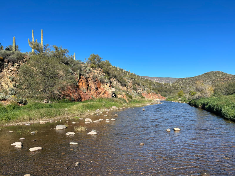 Cave Creek flowing in Spur Cross Conservation Area