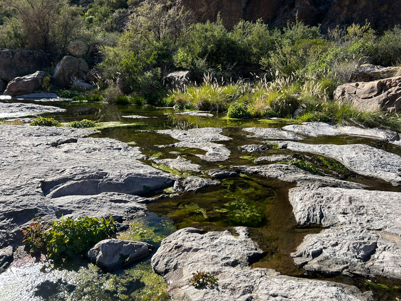 Trickling pools in Peters Canyon
