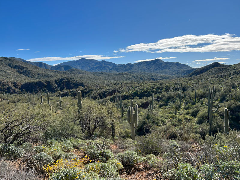 View from Limestone Trail in Spur Cross Conservation Area