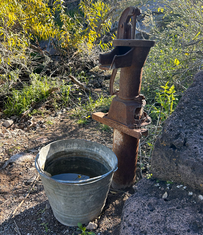 Ringneck Spring Spur Cross Conservation Area