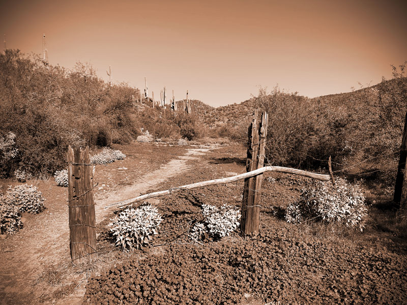 Corral at Spur Cross Conservation Area