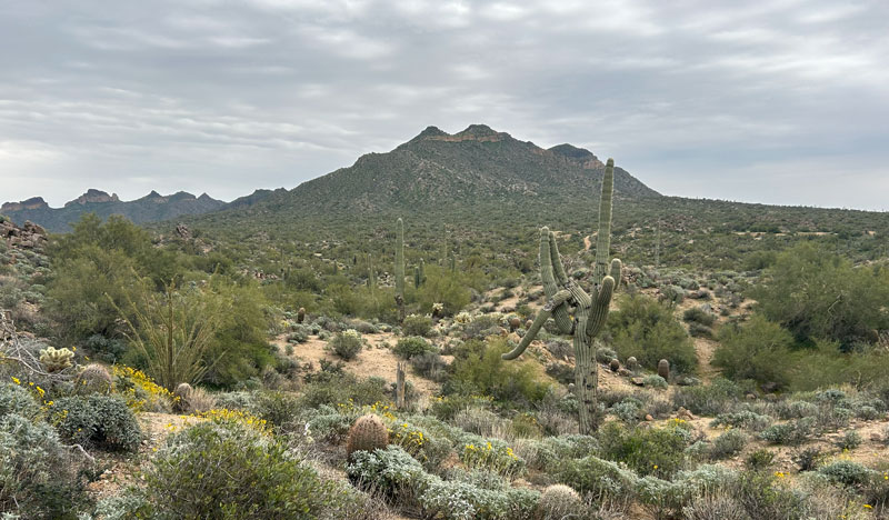 View of Pass Mountain from the EJ Peak (Lone Mountain) Trail