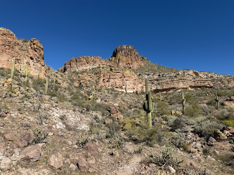 Butte on the Salt River Overlook Trail