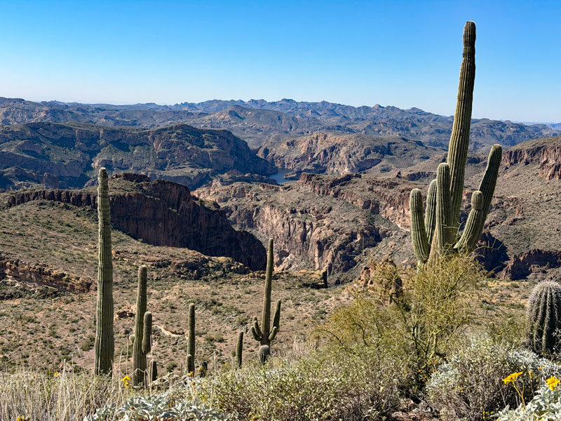 View from a butte near the Salt River Overlook