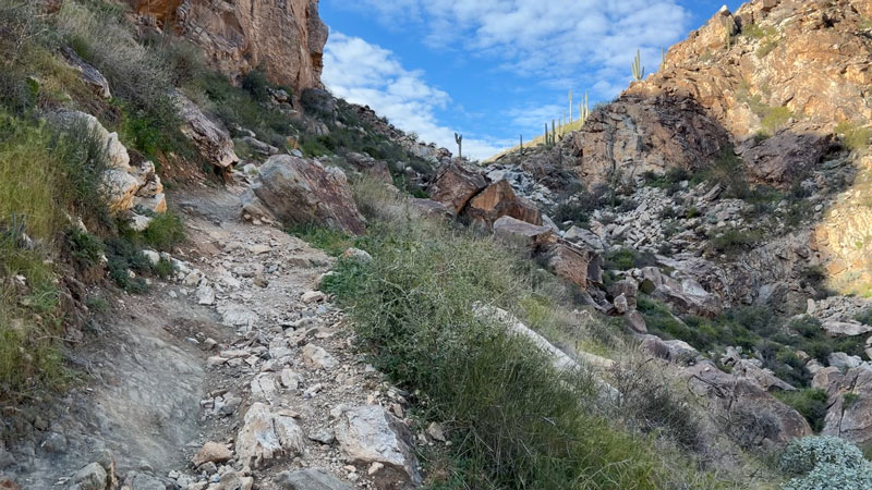 First uphill push on the Goat Camp Trail