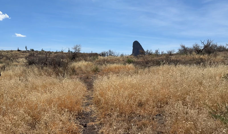 Black Top Mesa Trail in the Superstition Wilderness