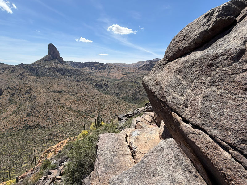 Petroglyphs and Weavers Needle from Black Top Mesa