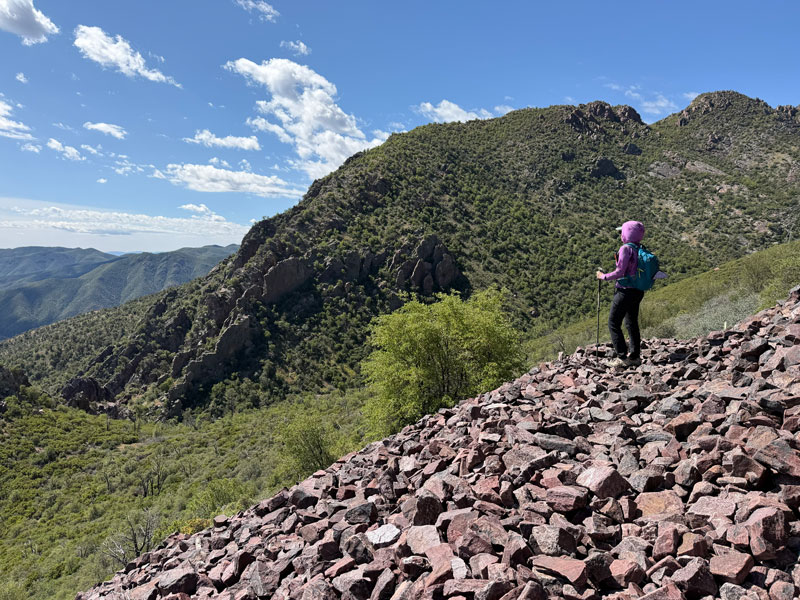 Views from Y Bar Trail in the Mazatzal Wilderness