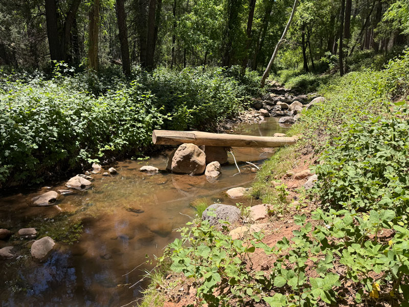 West Webber Creek near Highline Trail
