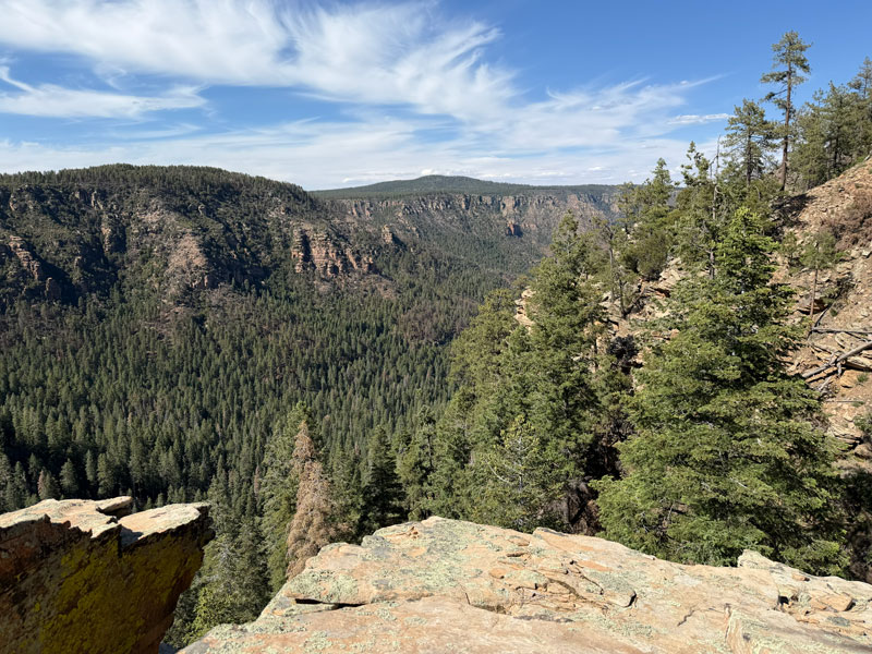 Viewpoint on the Mogollon Rim near West Webber Trail