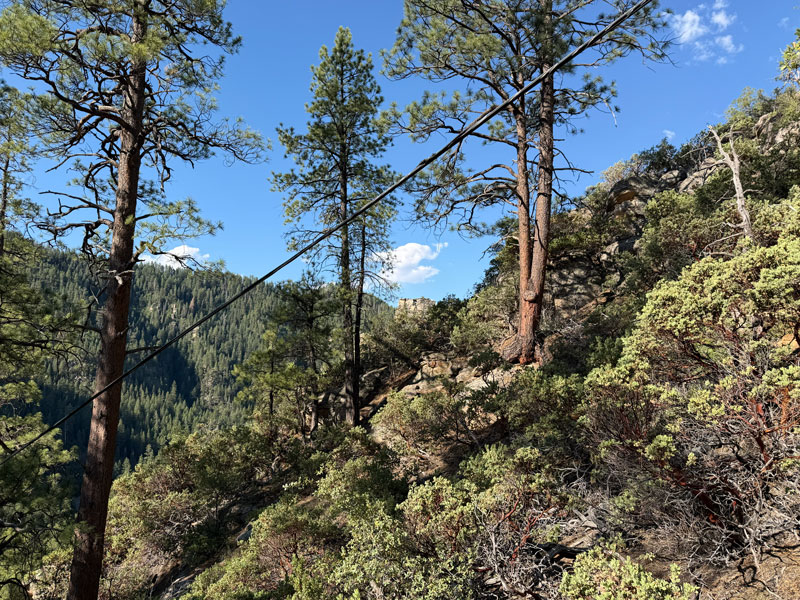 Telephone wire on Telephone Trail in Oak Creek Canyon