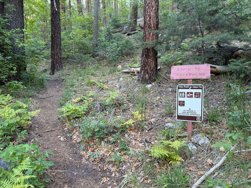 Telephone Trail in Oak Creek Canyon Sedona